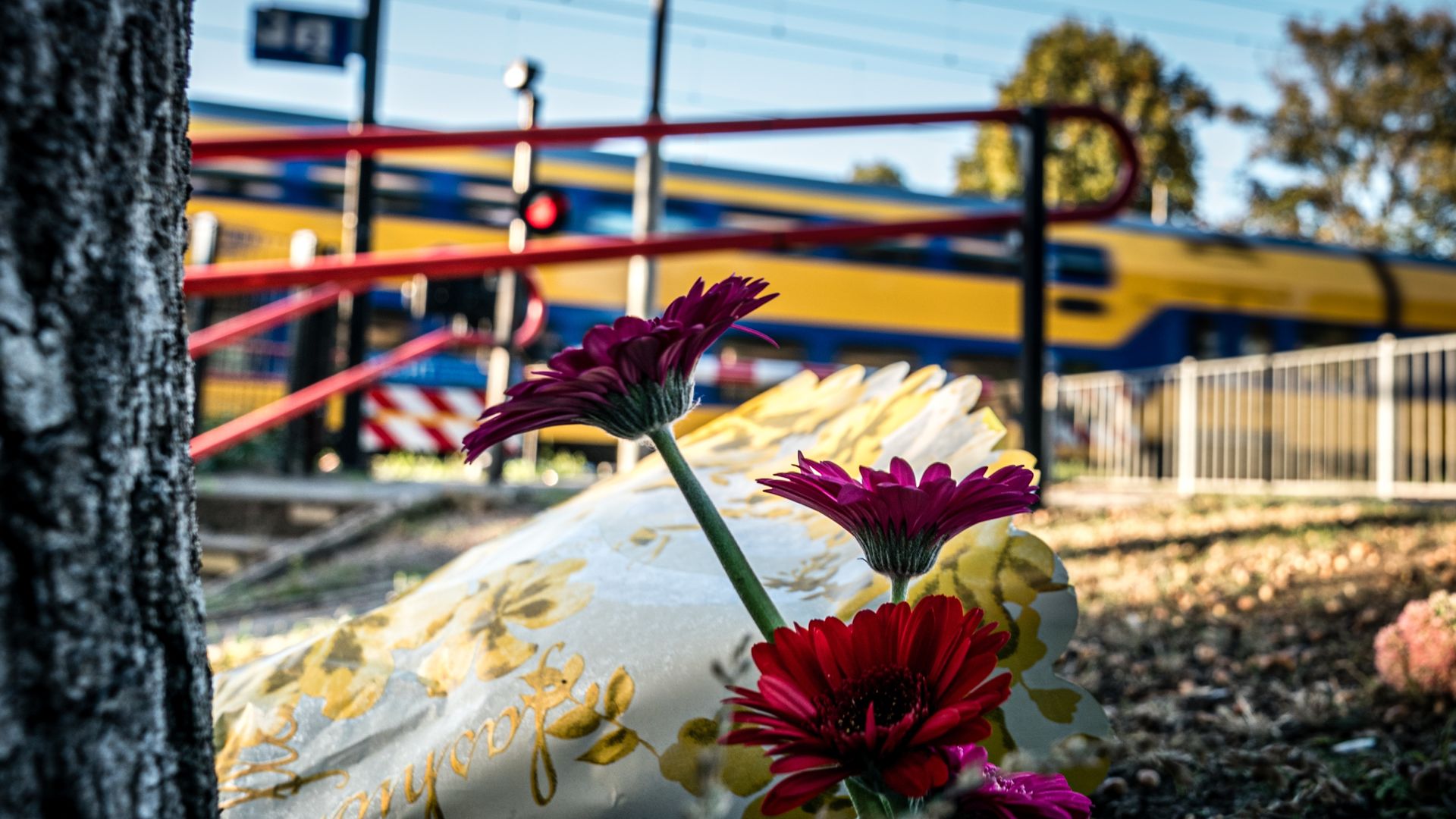 Nabestaanden teleurgesteld dat Stint-ondernemers geen straf krijgen