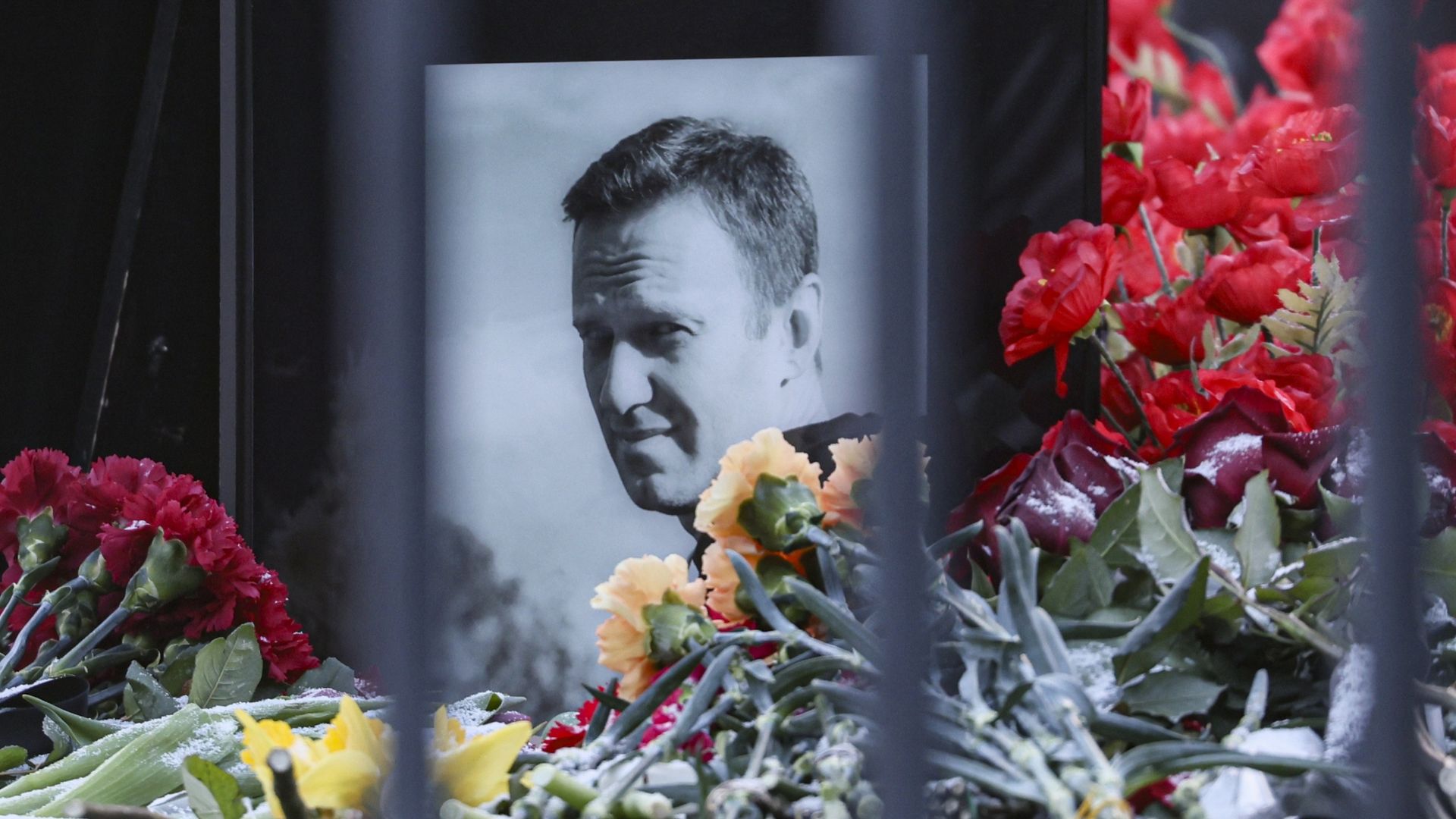 'Russische oppositieleider Navalny vergiftigd in cel'