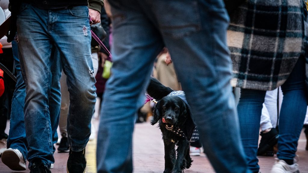 Foto: Onderzoek: gratis juridische hulp aan mensen met laag inkomen betaalt zich uit