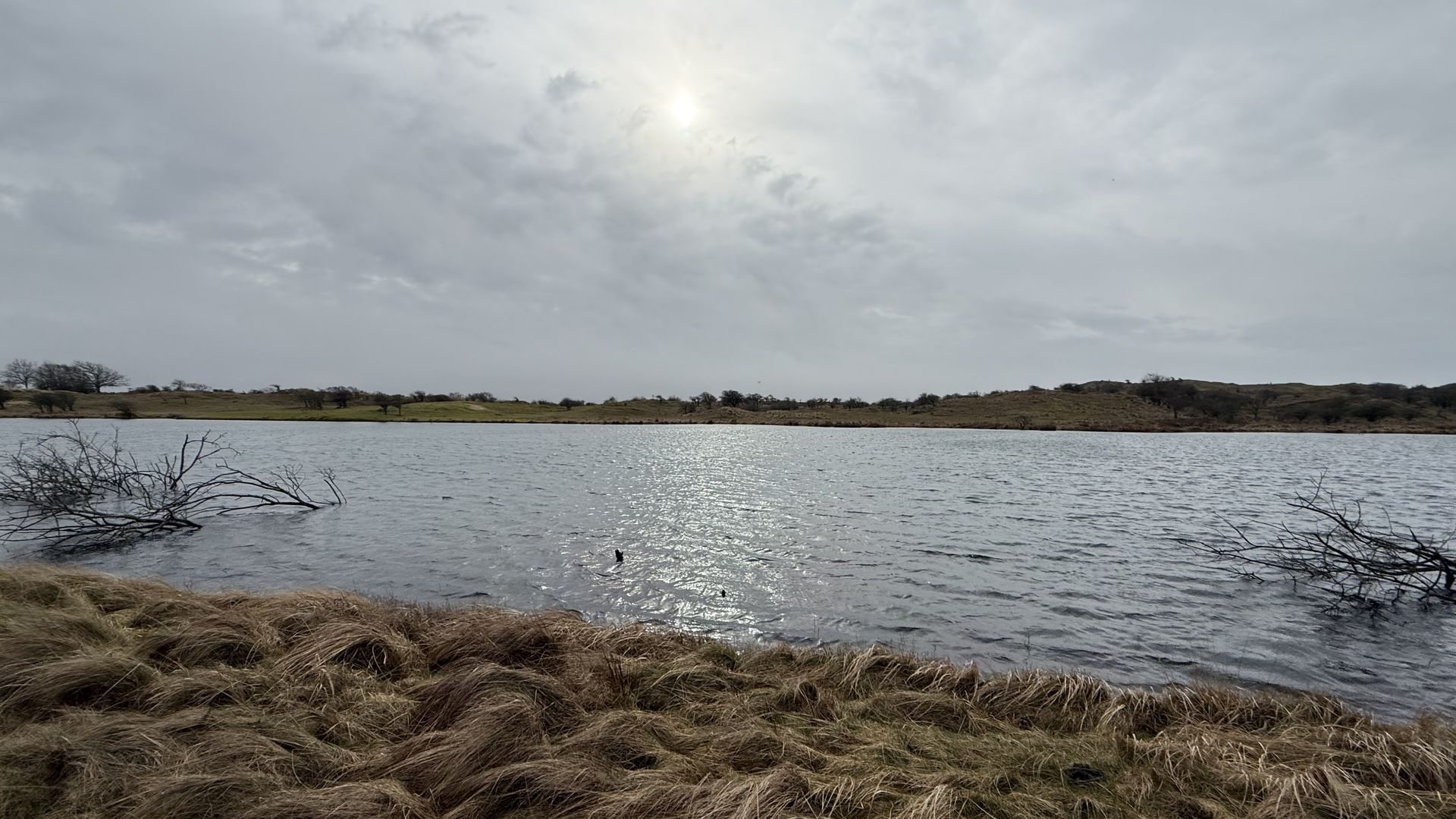 Komende week wisselvallig weer, maar woensdag voelt het als lente
