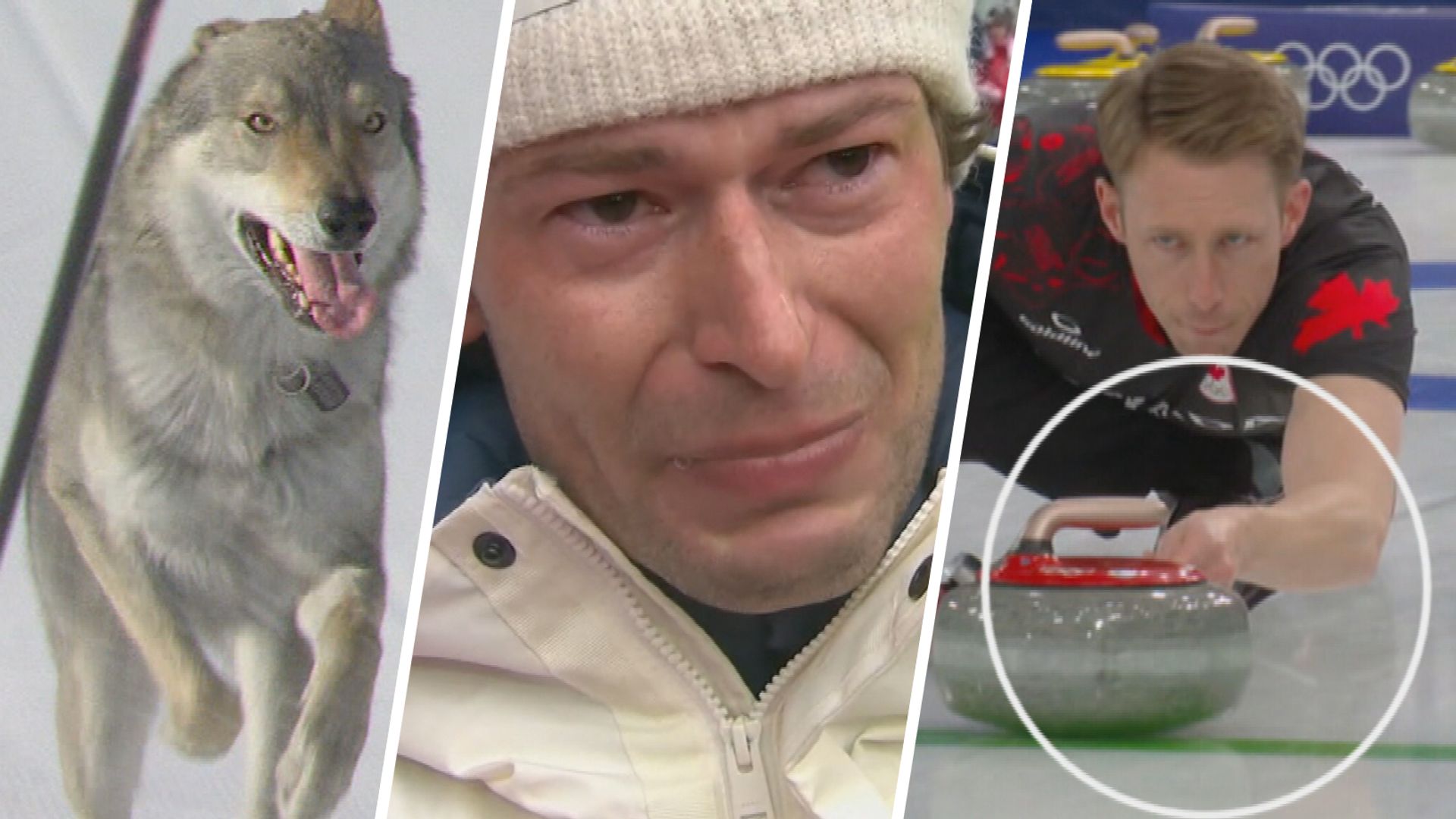 Van wolfshond tot vreemdgaan: deze Winterspelen-momenten gingen viraal