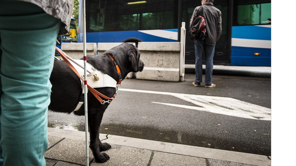 vrouw mwt geleidehond bij bushalte