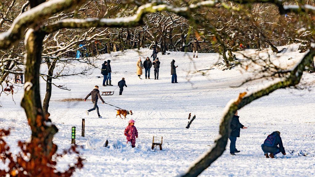 Ondanks relatief koude januarimaand was deze winter juist erg zacht Ondanks relatief koude januarimaand was deze winter juist erg zacht