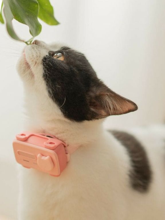 Leuke telefoonhanger - dier telefoon charme, schattige hars kat