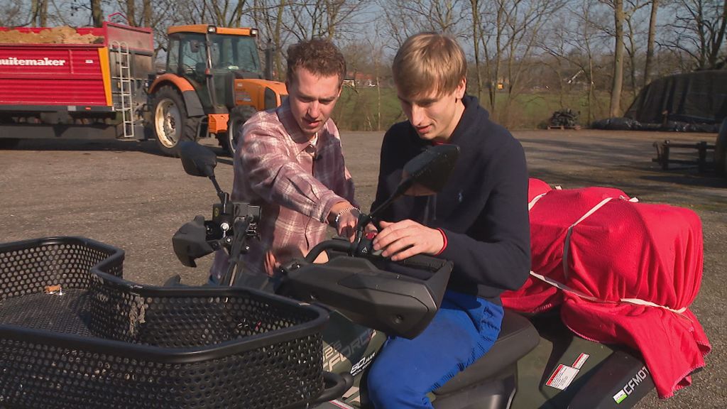 Two Frisian Brothers Tease Olympic Champion Stolz During Training