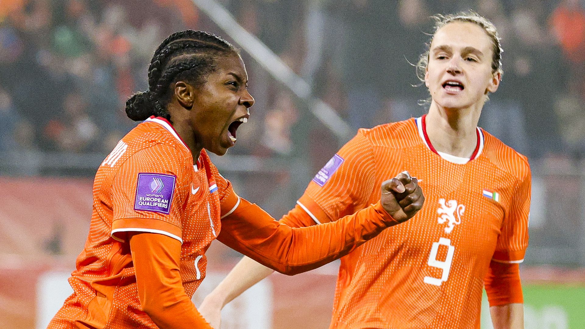 Oranje wint door late treffer Beerensteyn van Ierland in WK-kwalificatie