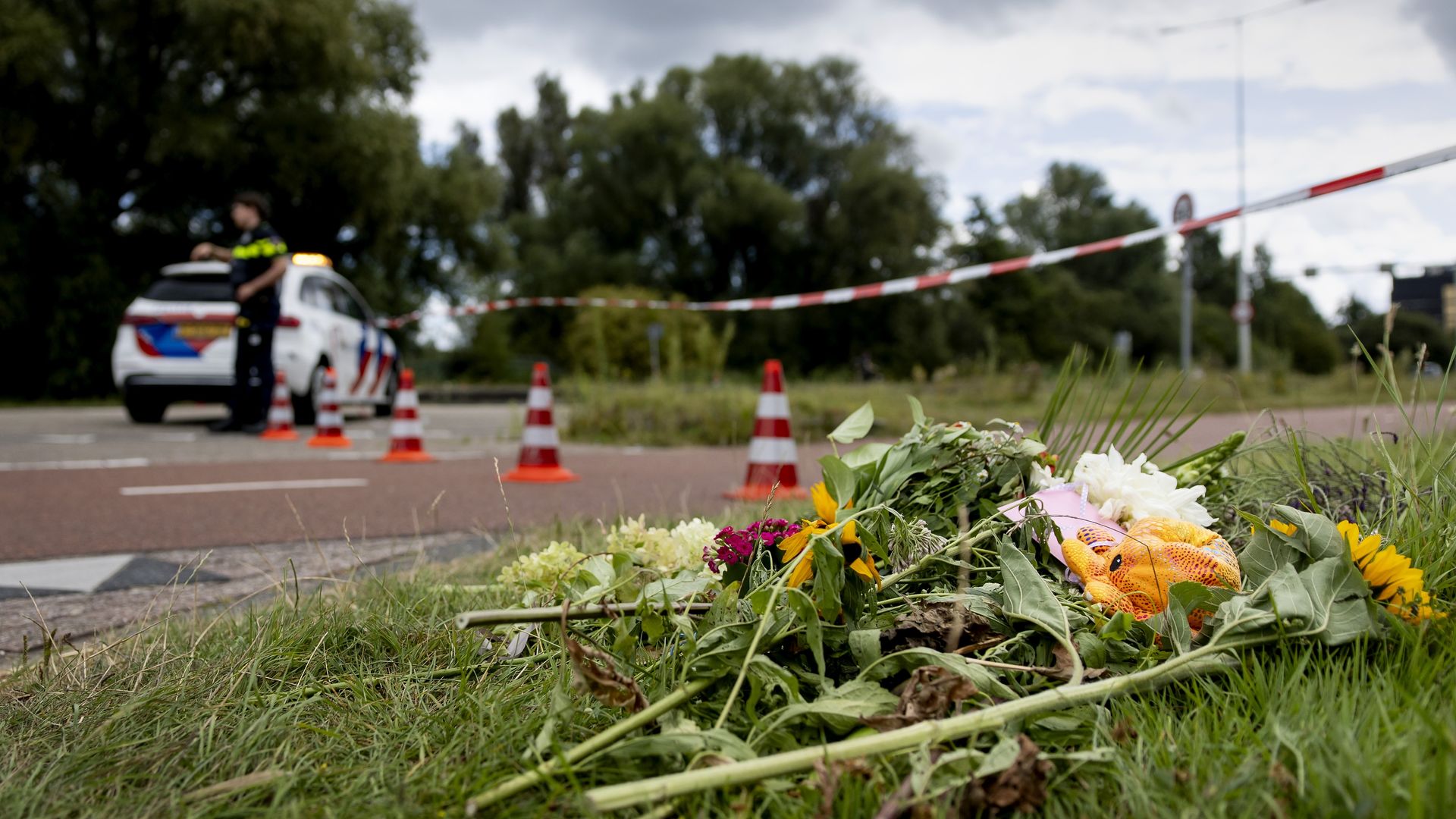 Excuses korpsleiding, minister aan politiemensen die info over zaak-Lisa opzochten