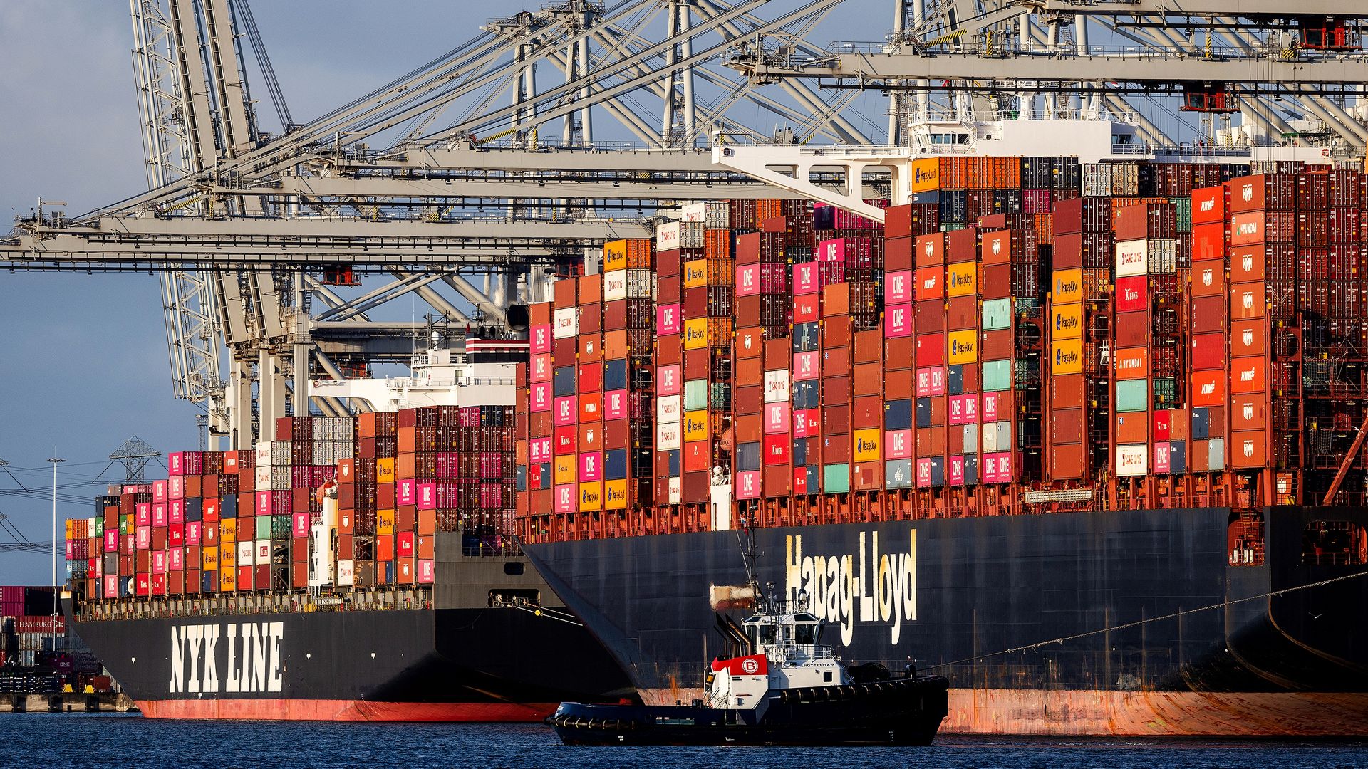 Van voedsel tot insecten: Nederlandse export naar Midden-Oosten flink geraakt