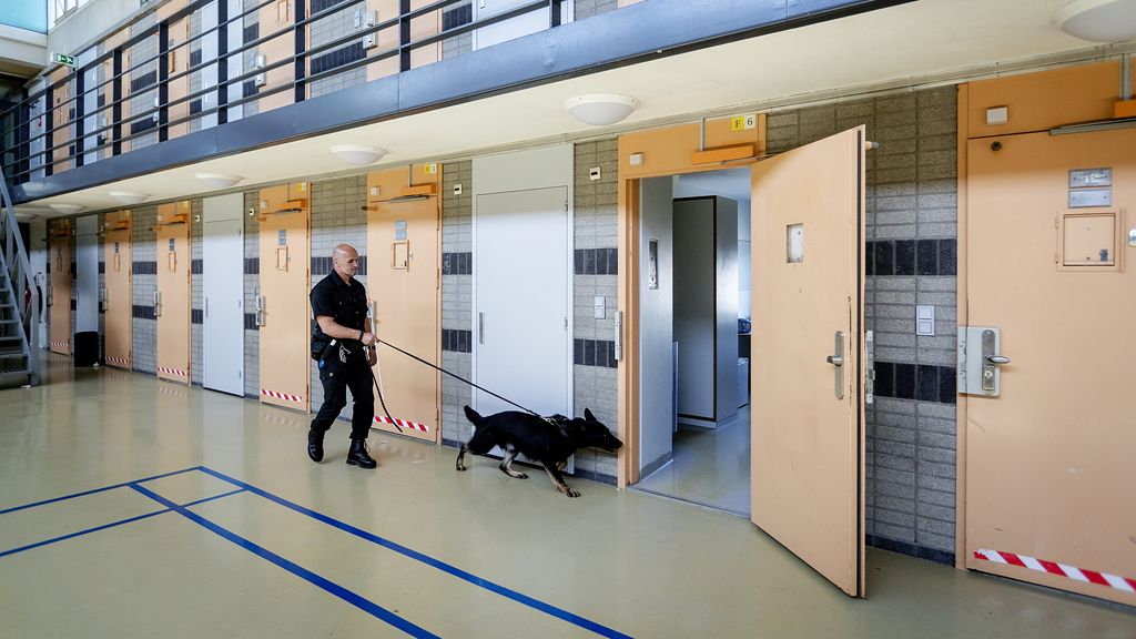 Coalitie verdeeld: enkelband als straf of meer daders in de cel?