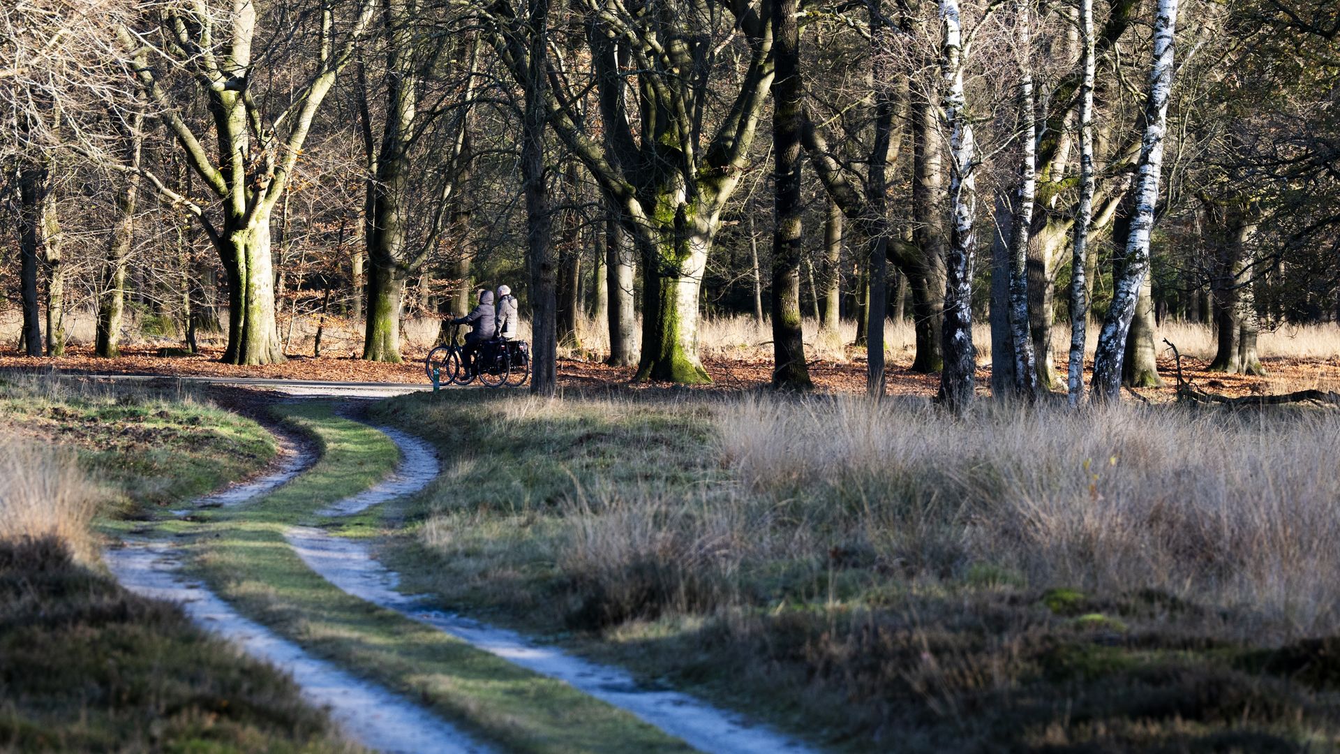 PBL: stikstofaanpak is onvoldoende om doelen te halen
