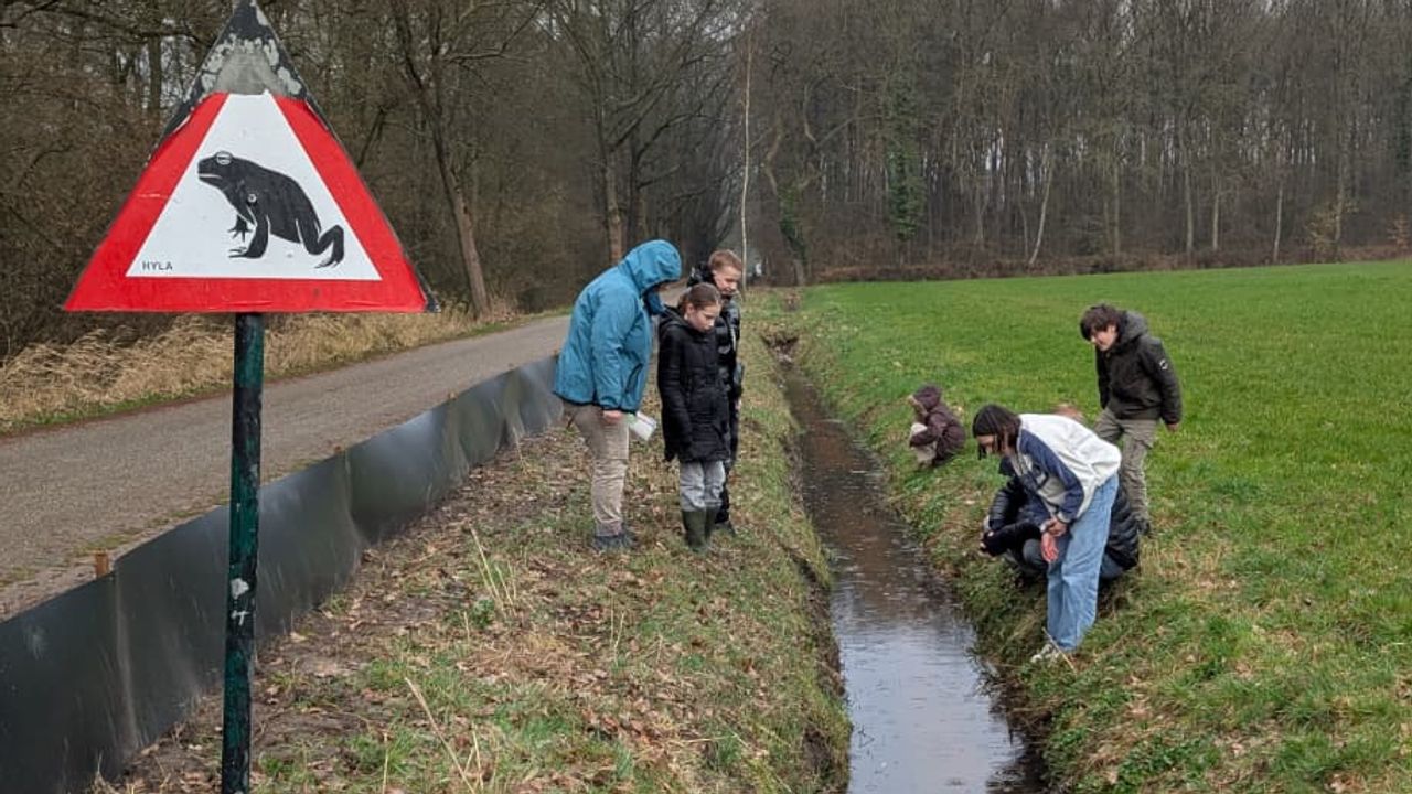 Met z'n allen op pad: kinderen helpen bij de paddentrek