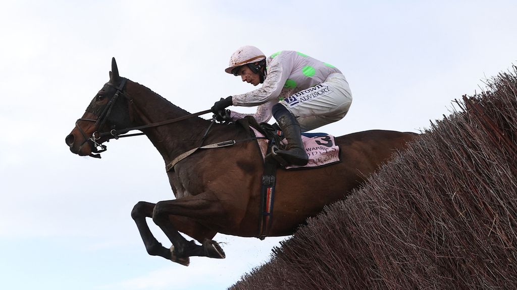 Foto: Roep om maatregelen na dood van vier paarden op renbaan Cheltenham
