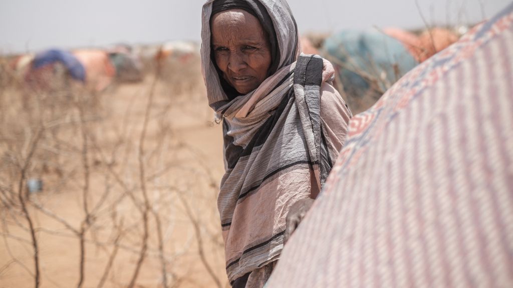 Foto: Meteorologen: aarde houdt meer warmte vast dan ooit, gevolgen nog eeuwen voelbaar