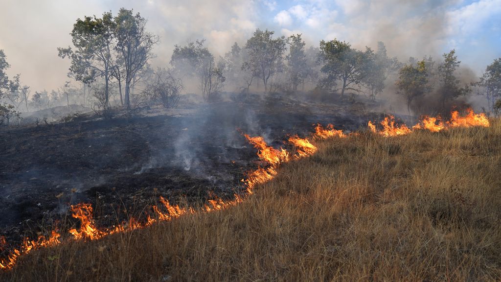 Foto: EU beleefde vorig jaar een verwoestend bosbrandenseizoen