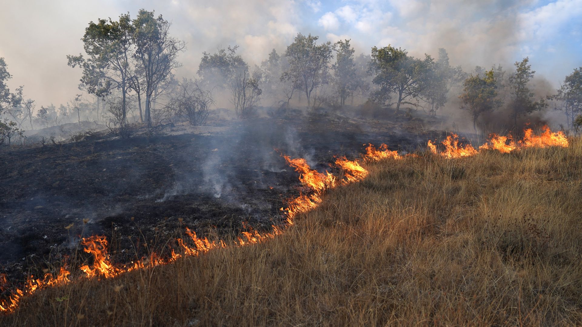EU beleefde vorig jaar een verwoestend bosbrandenseizoen