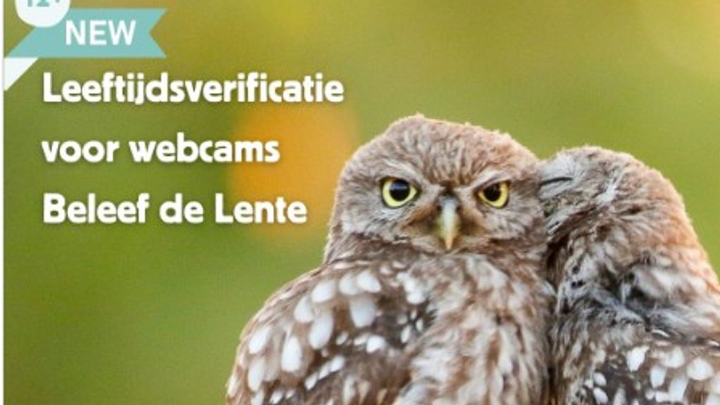 Foto: Van wolfveilige fiets tot verbod op doorschijnend ondergoed: het is weer 1 april