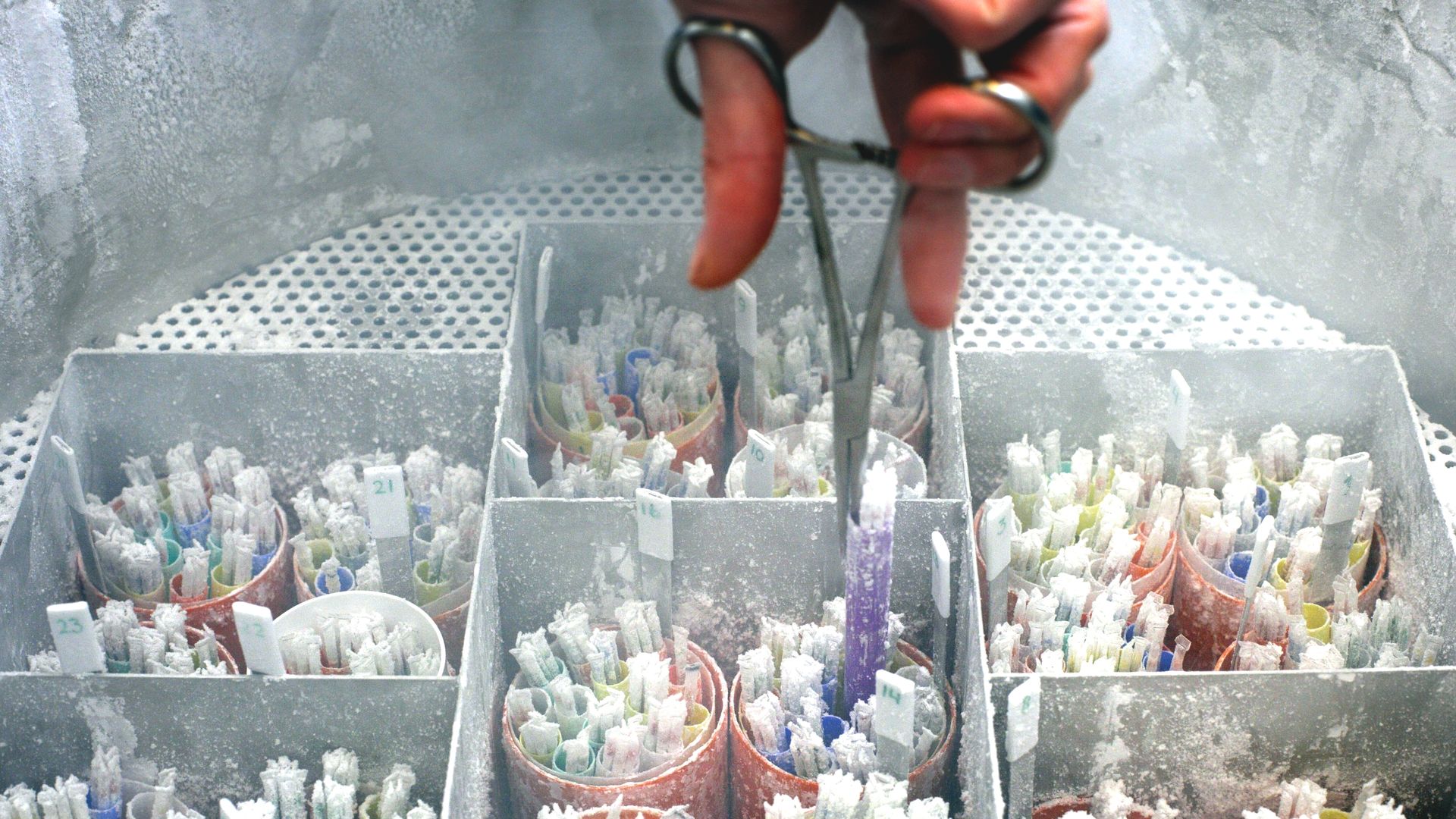 Ministerie maakt draai rond maximumaantal donorkinderen, Kamer en experts kritisch