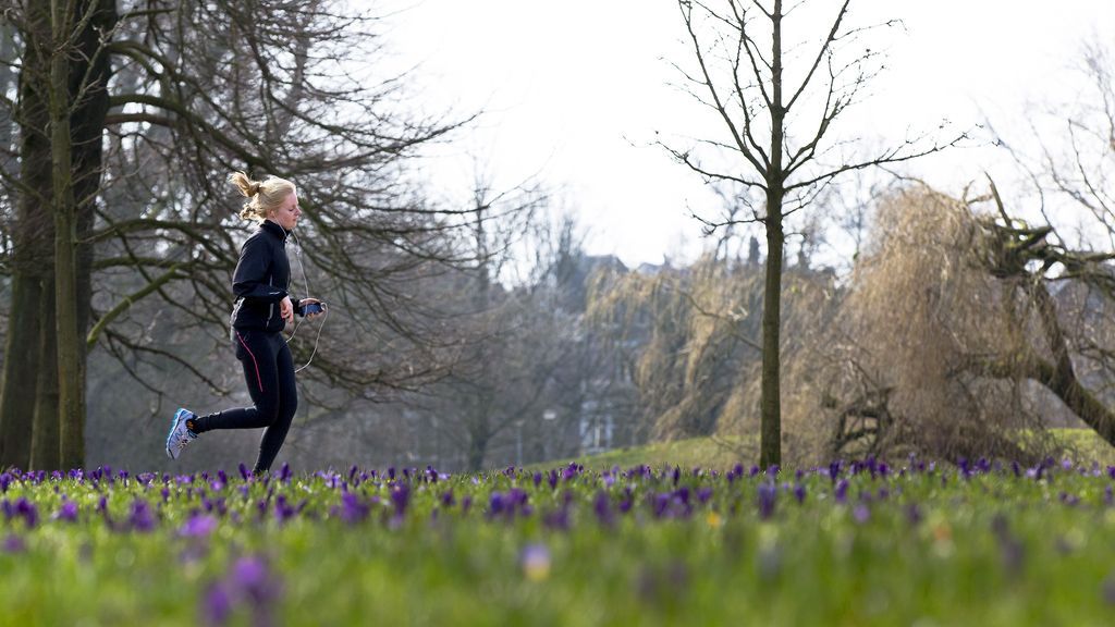 Foto: Amsterdam kiest voor fatbikeverbod in Vondelpark, verbod geldt vanaf mei