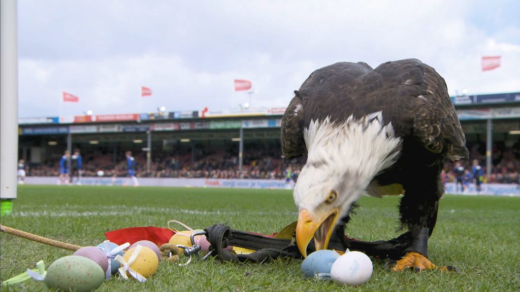 Eredivisiezondag begint met IJsselderby • Volendam kan PSV kampioen maken