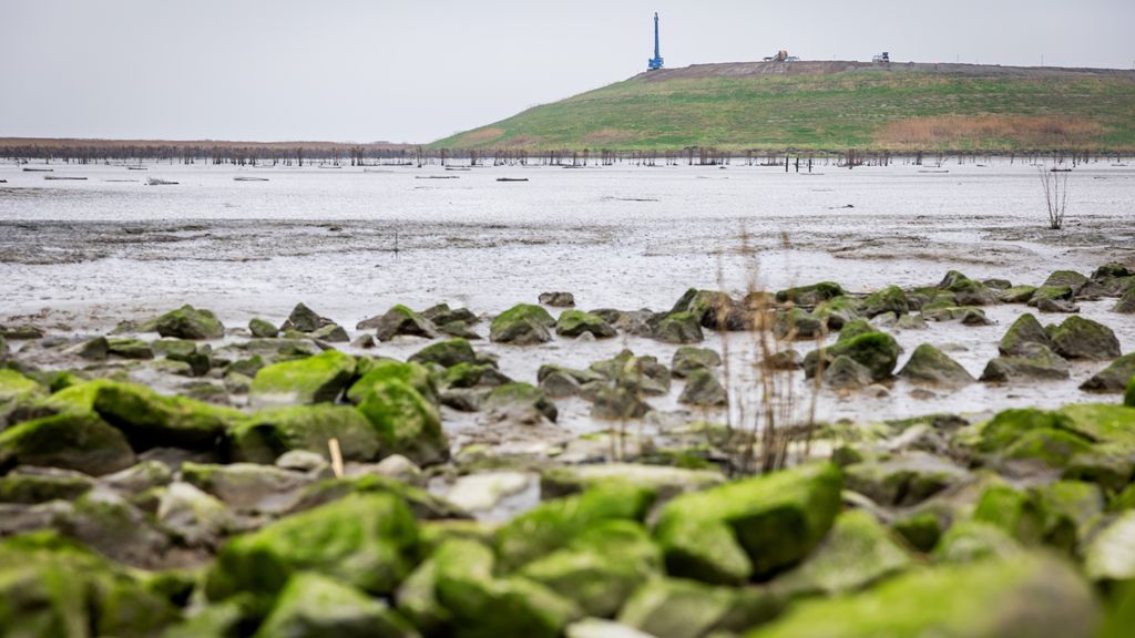Foto: Olielek dreigt grote gevolgen te hebben voor natuurgebieden Zeeland