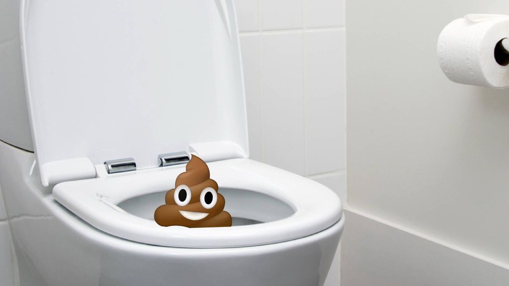 Politici willen wat doen aan vieze wc's op scholen