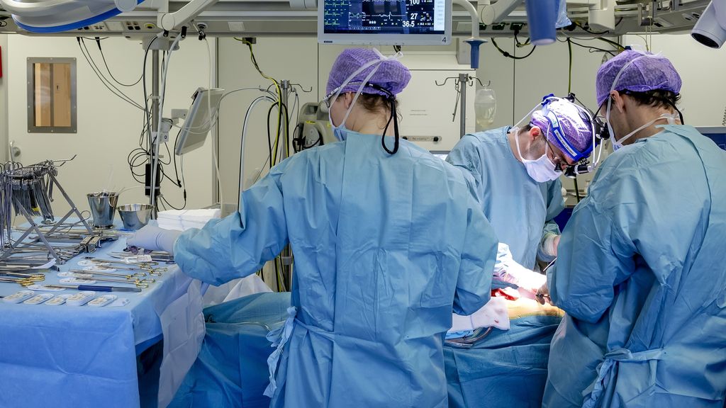 Foto: Dit jaar van baan wisselen? Pas op voor pensioengat van mogelijk duizenden euro's