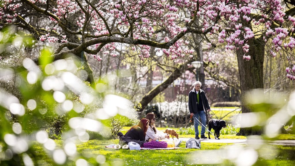 Foto: Komende dagen veel zon en vrijwel droog, past in trend