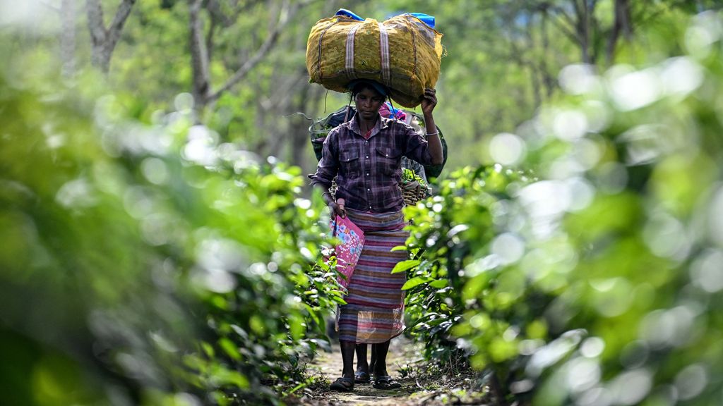 Foto: Oorlog in Midden-Oosten brengt voedselzekerheid in delen van wereld in gevaar