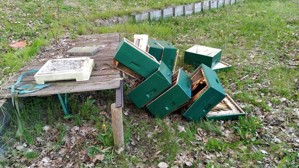 Foto: Onbekenden vernielen bijenkasten van imker uit Joure voor zesde keer
