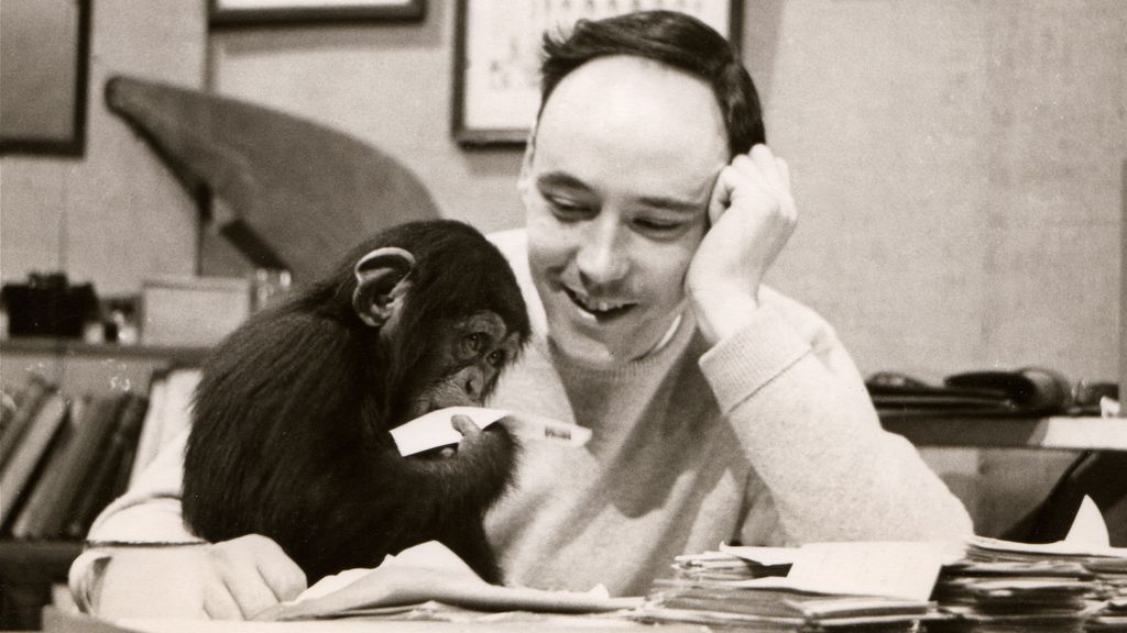 Foto: Zoöloog Desmond Morris (De Naakte Aap) overleden op 98-jarige leeftijd