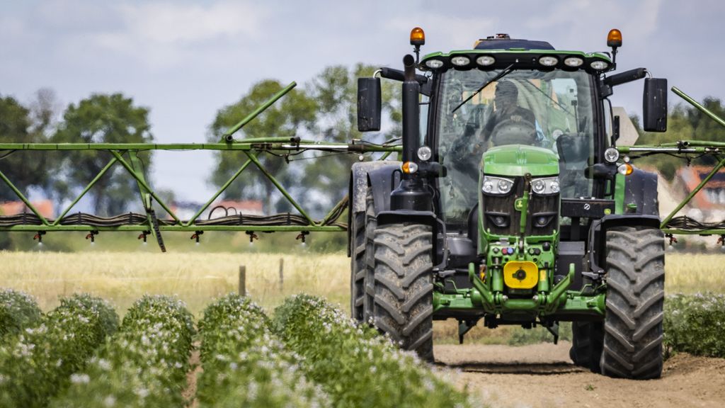 Foto: Mogelijk verbod op bestrijdingsmiddelen met PFAS: vrees voor aardappelziekte