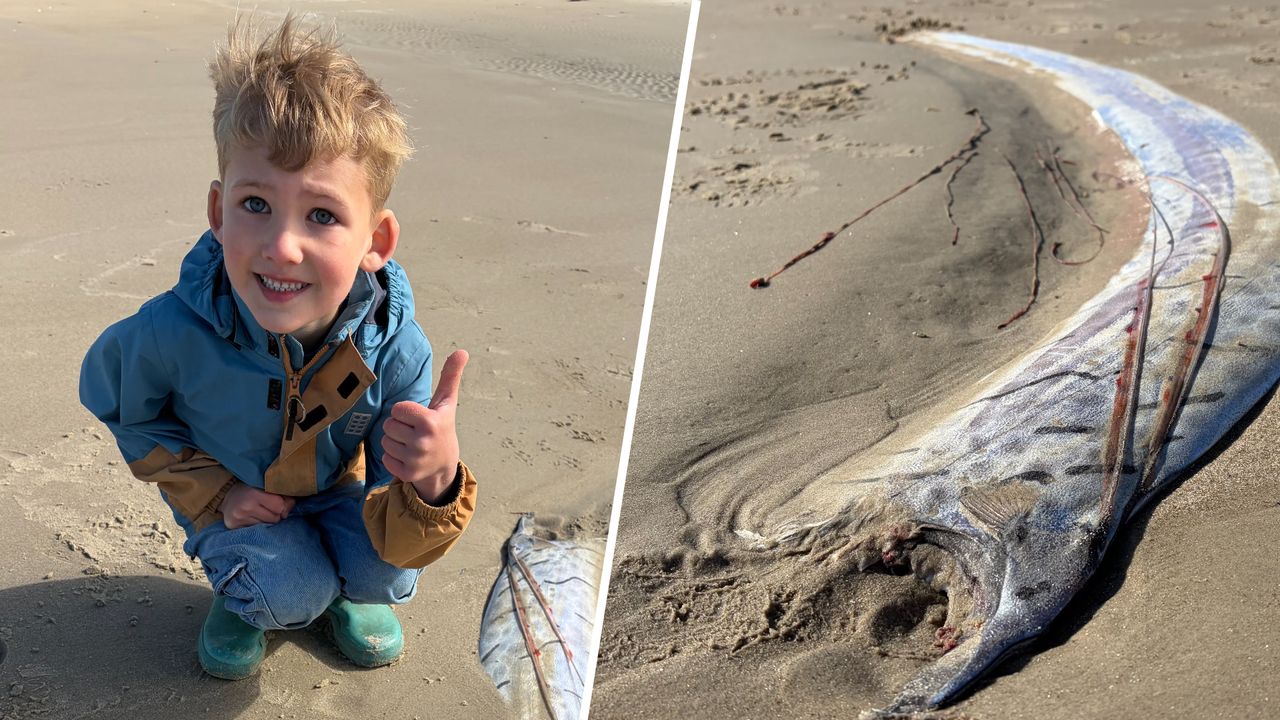 Nederlandse jongen vindt zeldzame vis uit de diepzee