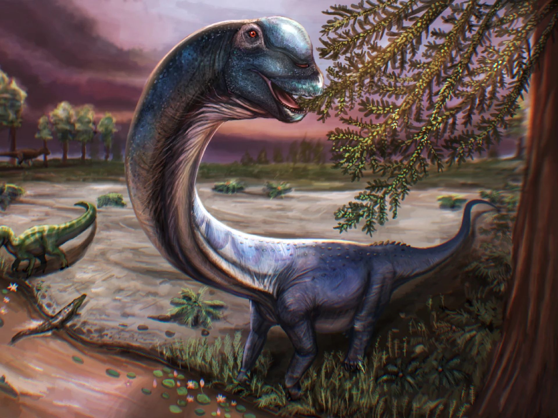 ディディタイ Mega-dino ontdekt in Thailand: net zo zwaar als 9 (!) olifanten