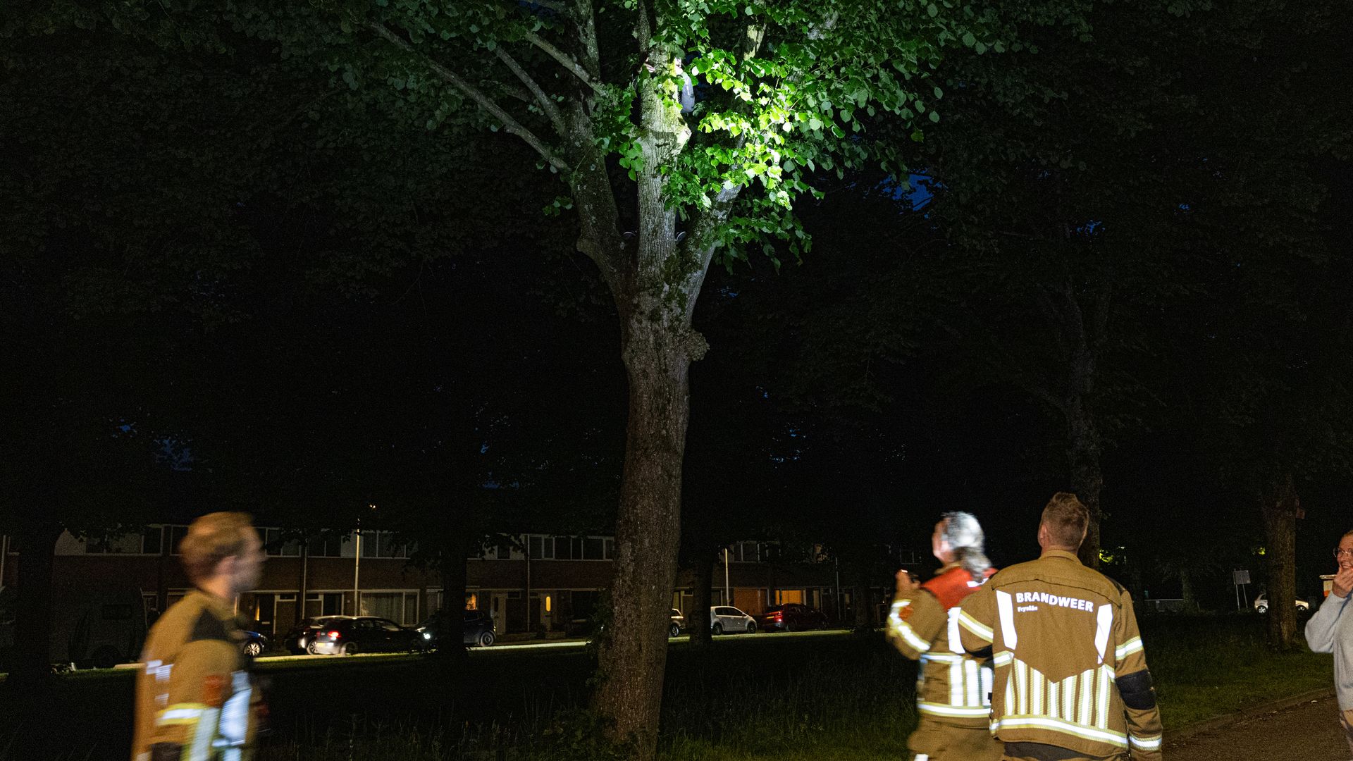 Vrouw komt vast te zitten in boom bij zoektocht naar papegaai