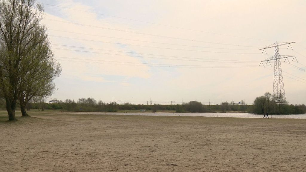 Zwemverbod in Almere voorbij, geen verklaring voor dode en zieke honden