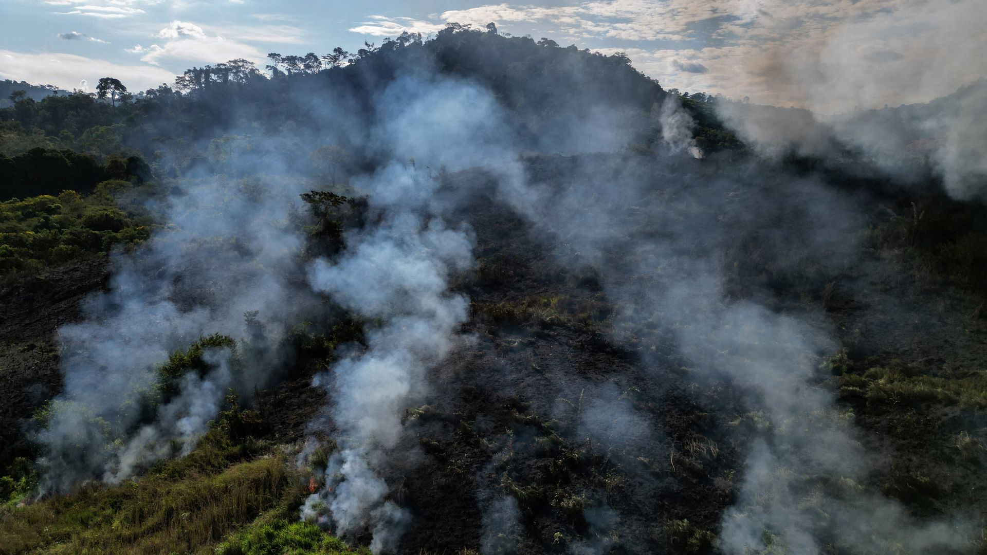 Vorig jaar flink minder Amazoneregenwoud afgebrand