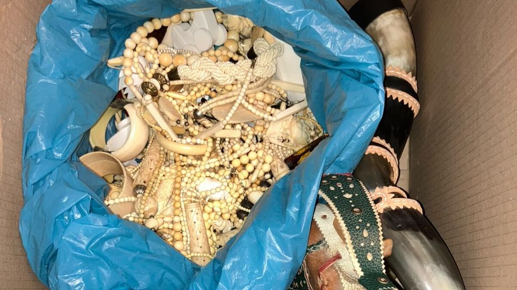 Verhuisdozen met ivoren sieraden, 5800 verboden objecten anoniem ingeleverd