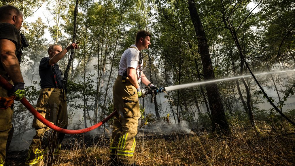 リンブルフ州で山火事が100ヘクタールに拡大、消火活動続く