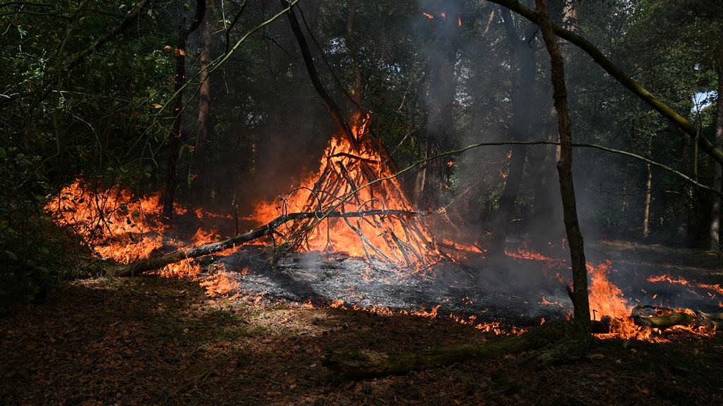 Politie vermoedt brandstichting bij kleine natuurbrand in Wijchen