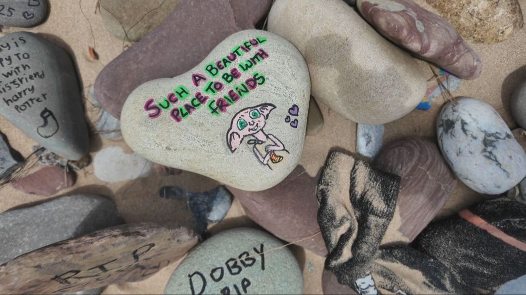 Stroomkabel in Wales omgelegd om graf van Dobby uit Harry Potter te redden Stroomkabel in Wales omgelegd om graf van Dobby uit Harry Potter te redden