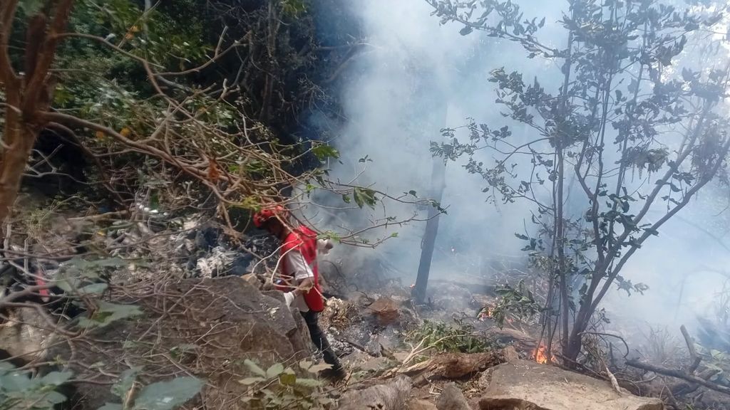 Zeven toeristen omgekomen bij helikoptercrash in Kenia